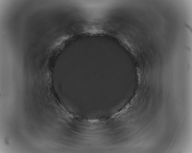 X0000097821398200803141130