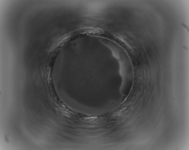 X0000097821399200803141130