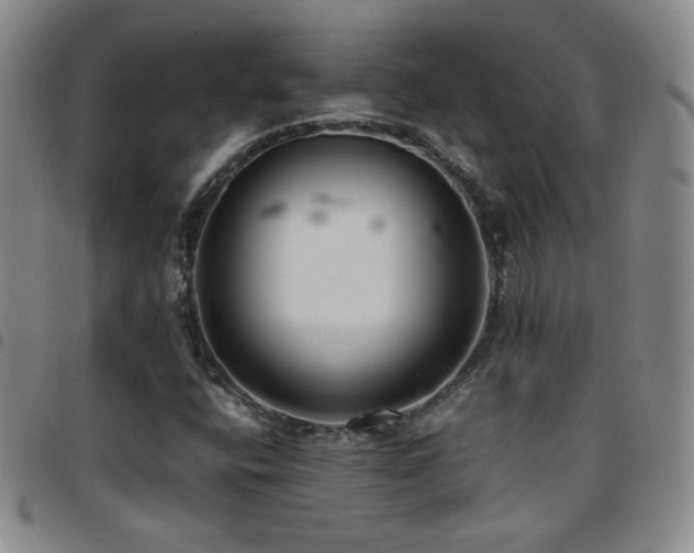 X0000097821400200803141130