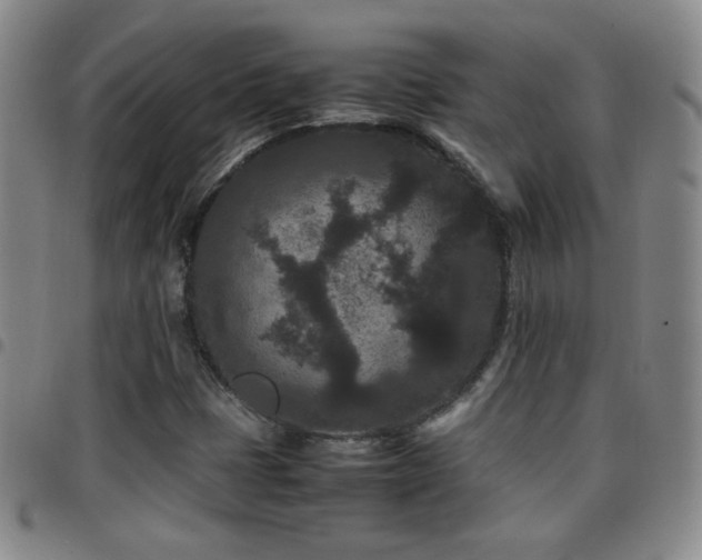 X0000097821401200803141130