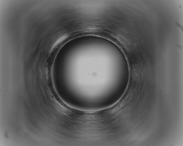 X0000097821402200803141130