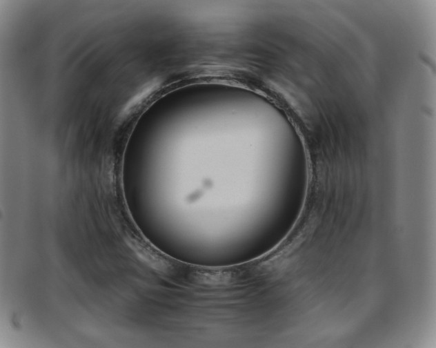 X0000097821403200803141130