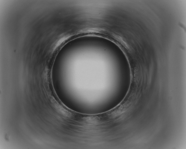 X0000097821404200803141130