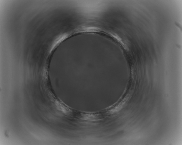 X0000097821405200803141130