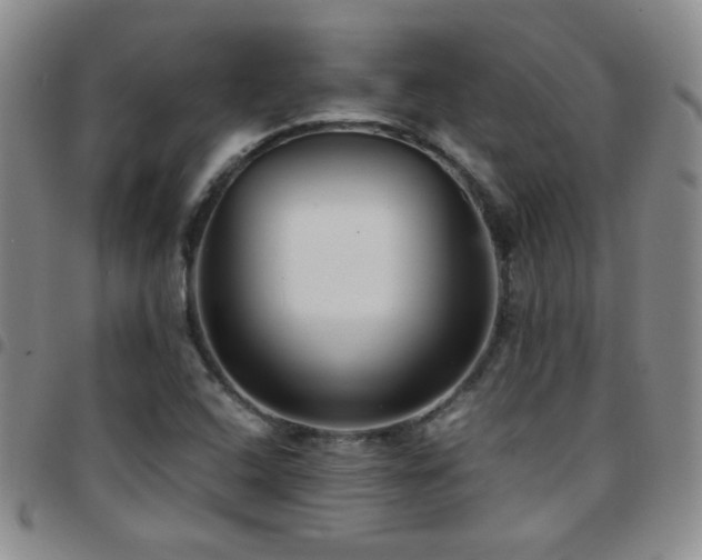 X0000097821408200803141130