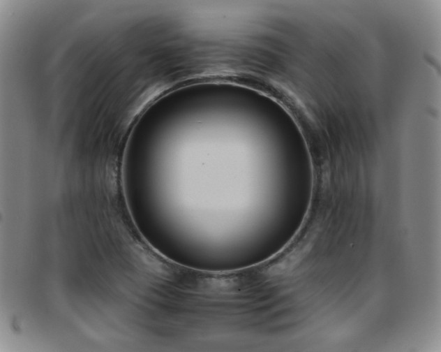 X0000097821409200803141130