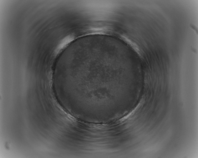 X0000097821411200803141130