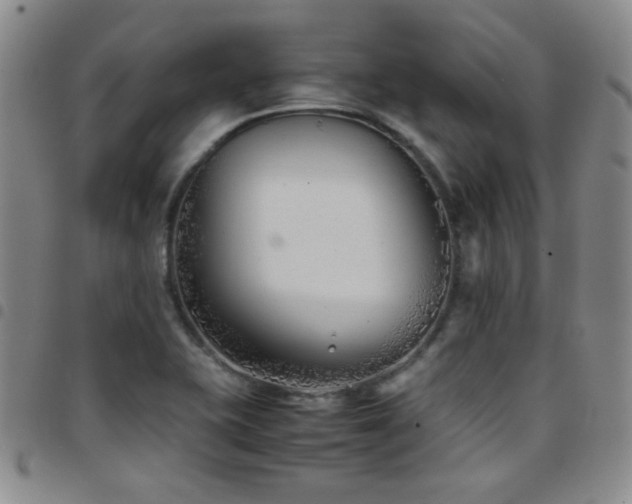 X0000097821415200803141130