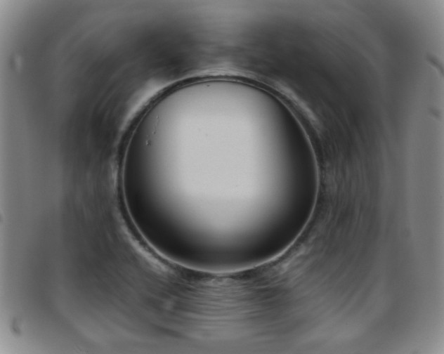 X0000097821416200803141130