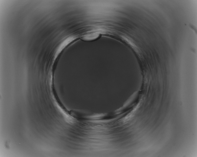 X0000097821418200803141130