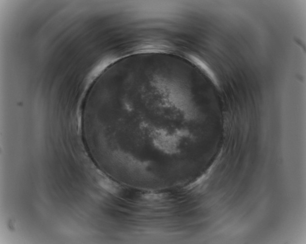 X0000097821419200803141130