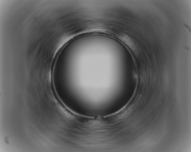 X0000097821420200803141130