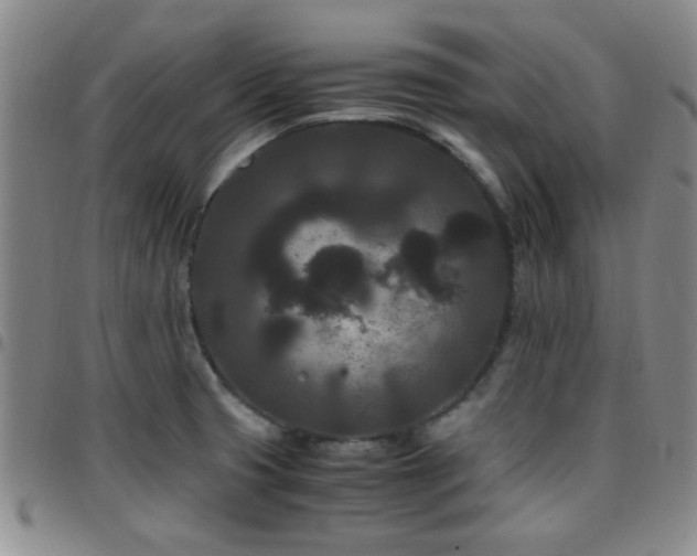 X0000097821425200803141131