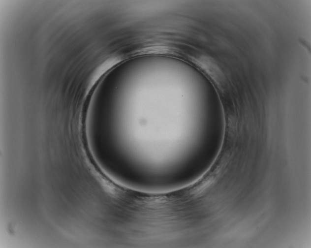 X0000097821426200803141131