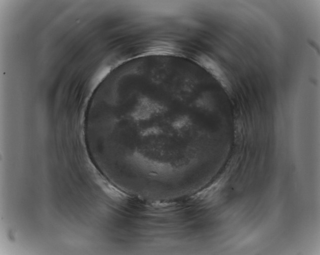 X0000097821427200803141131