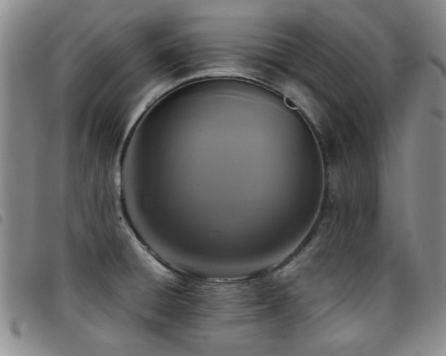 X0000097821428200803141131