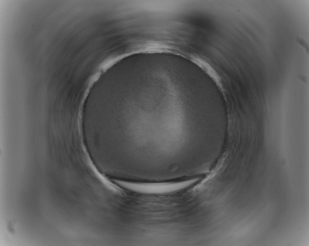 X0000097821429200803141131