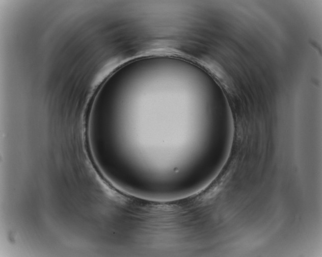 X0000097821430200803141131