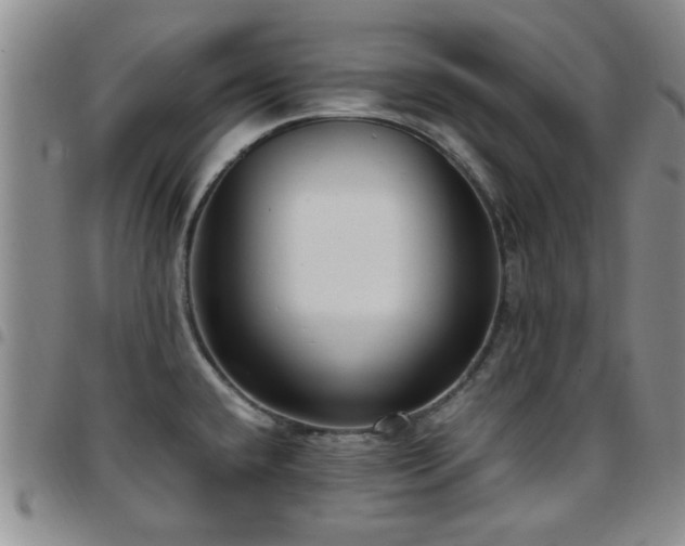 X0000097821432200803141131