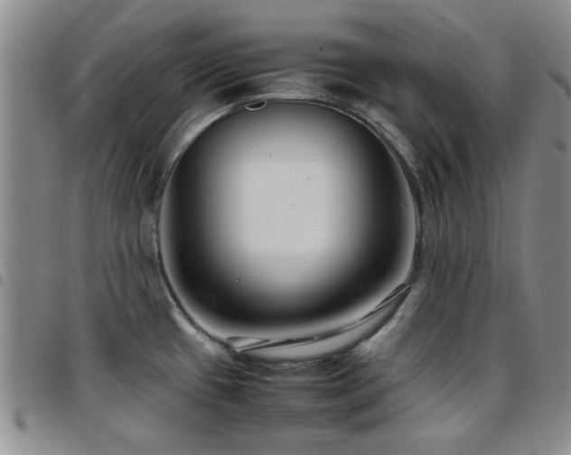 X0000097821433200803141131