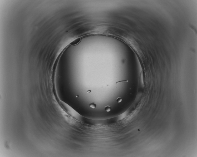 X0000097821434200803141131