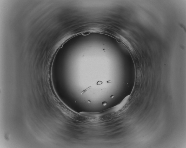 X0000097821435200803141131