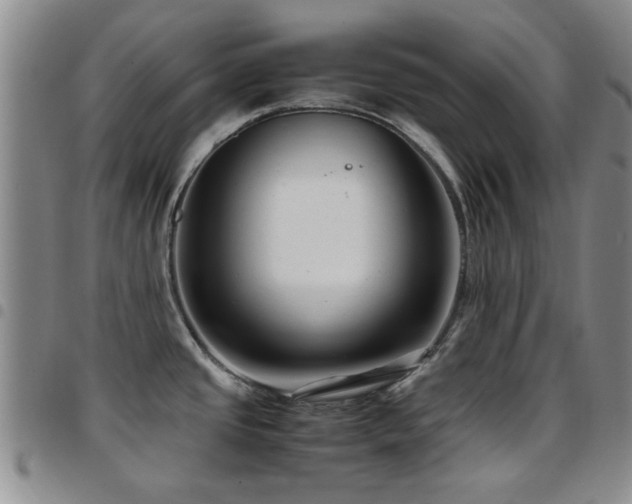 X0000097821437200803141131