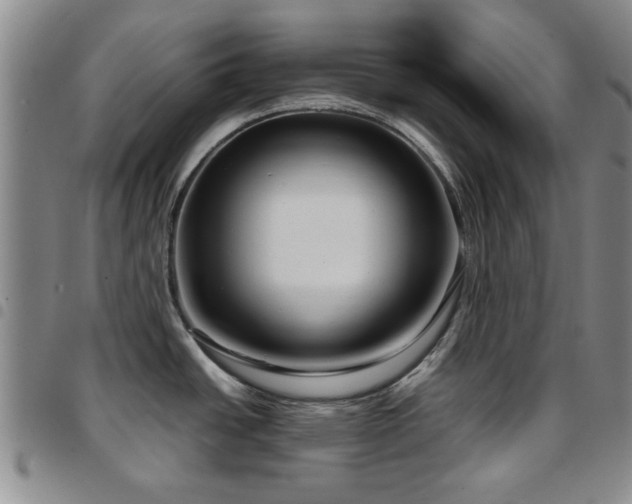 X0000097821438200803141131