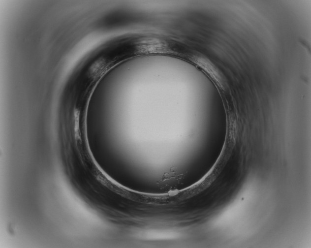 X0000097821439200803141131