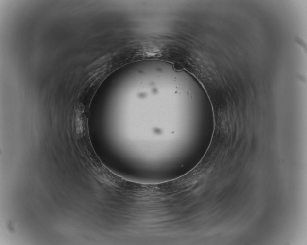 X0000097821442200803141130