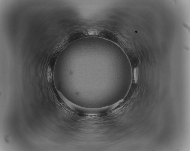 X0000097821443200803141130