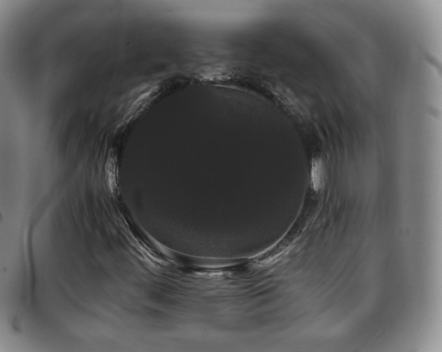 X0000097821444200803141130