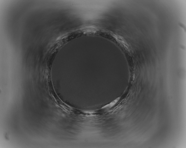 X0000097821445200803141130