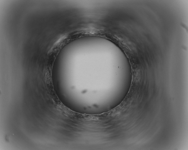 X0000097821446200803141130