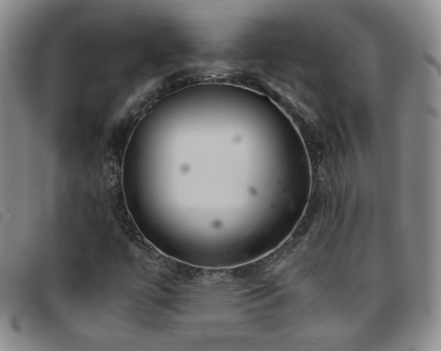 X0000097821447200803141130