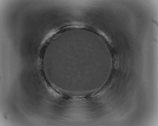 X0000097821448200803141130