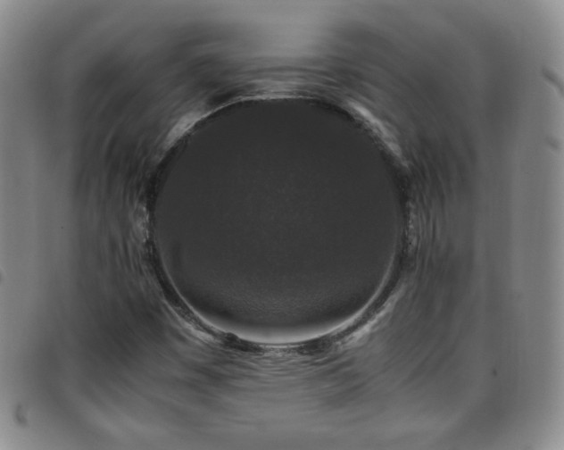 X0000097821449200803141130