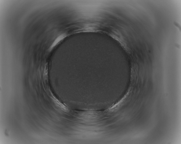 X0000097821450200803141130