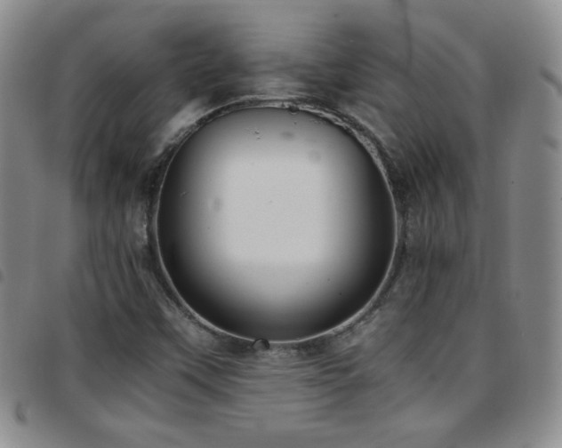 X0000097821451200803141130