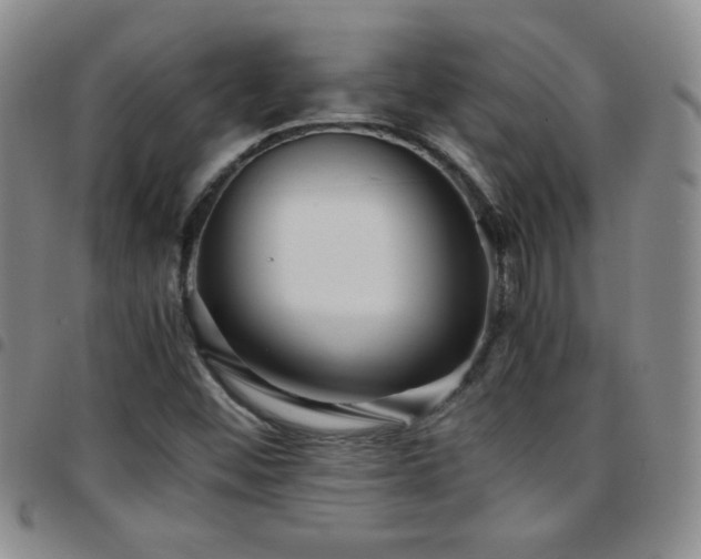 X0000097821452200803141130