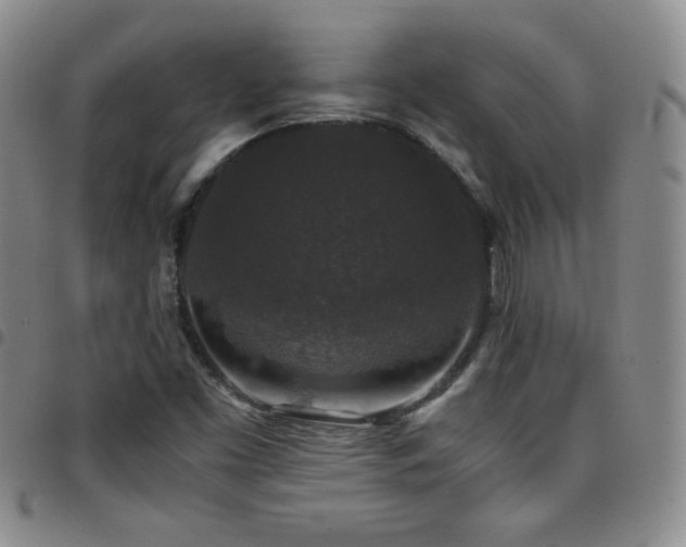 X0000097821453200803141130