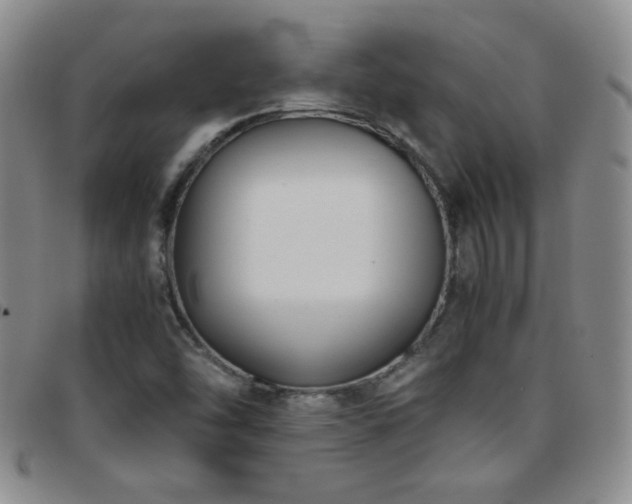 X0000097821454200803141130