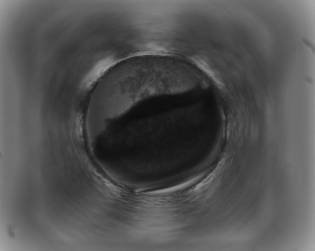 X0000097821455200803141130