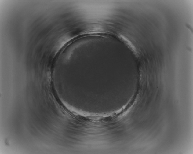 X0000097821457200803141130