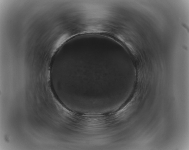 X0000097821459200803141130