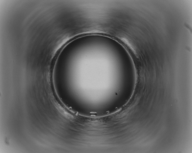 X0000097821460200803141130