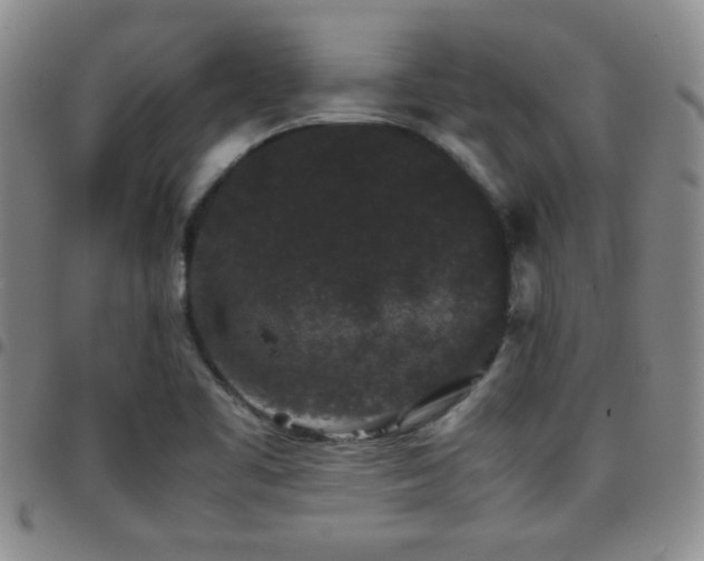 X0000097821461200803141130