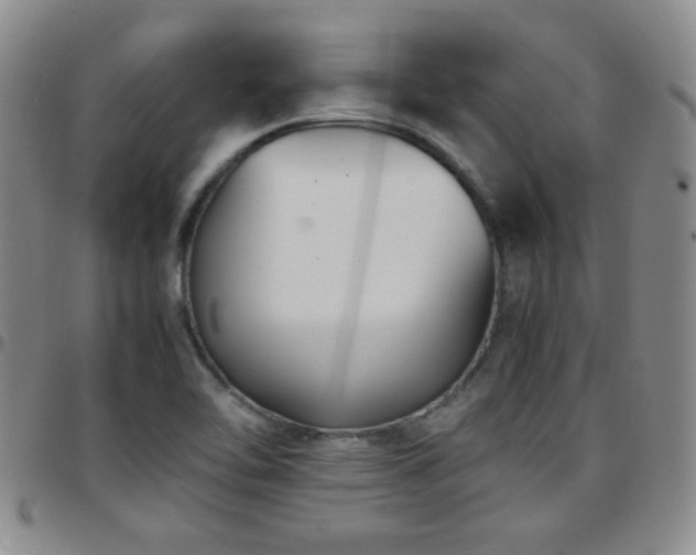 X0000097821462200803141130