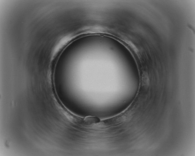 X0000097821464200803141130