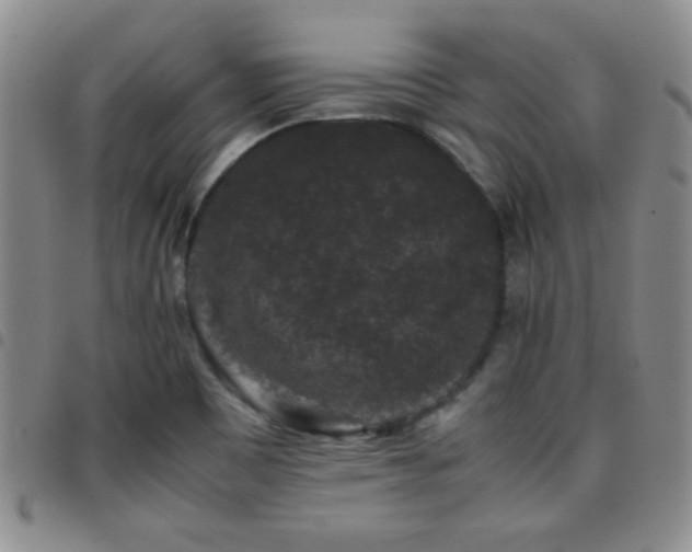 X0000097821465200803141130